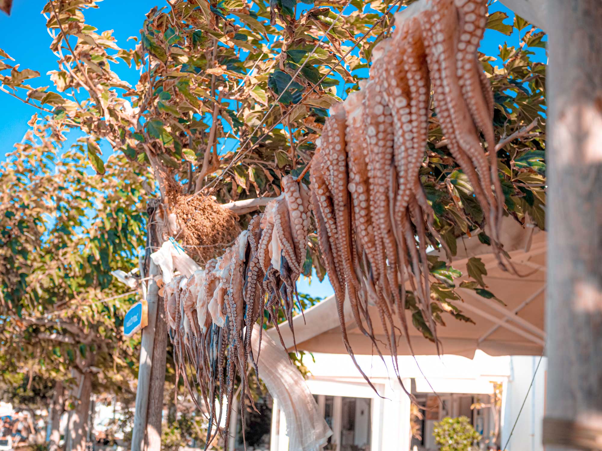 Villa-Collective---Paros_-Whitewashed-villages,-crystalline-coves-and-the-marvel-of-marble-10