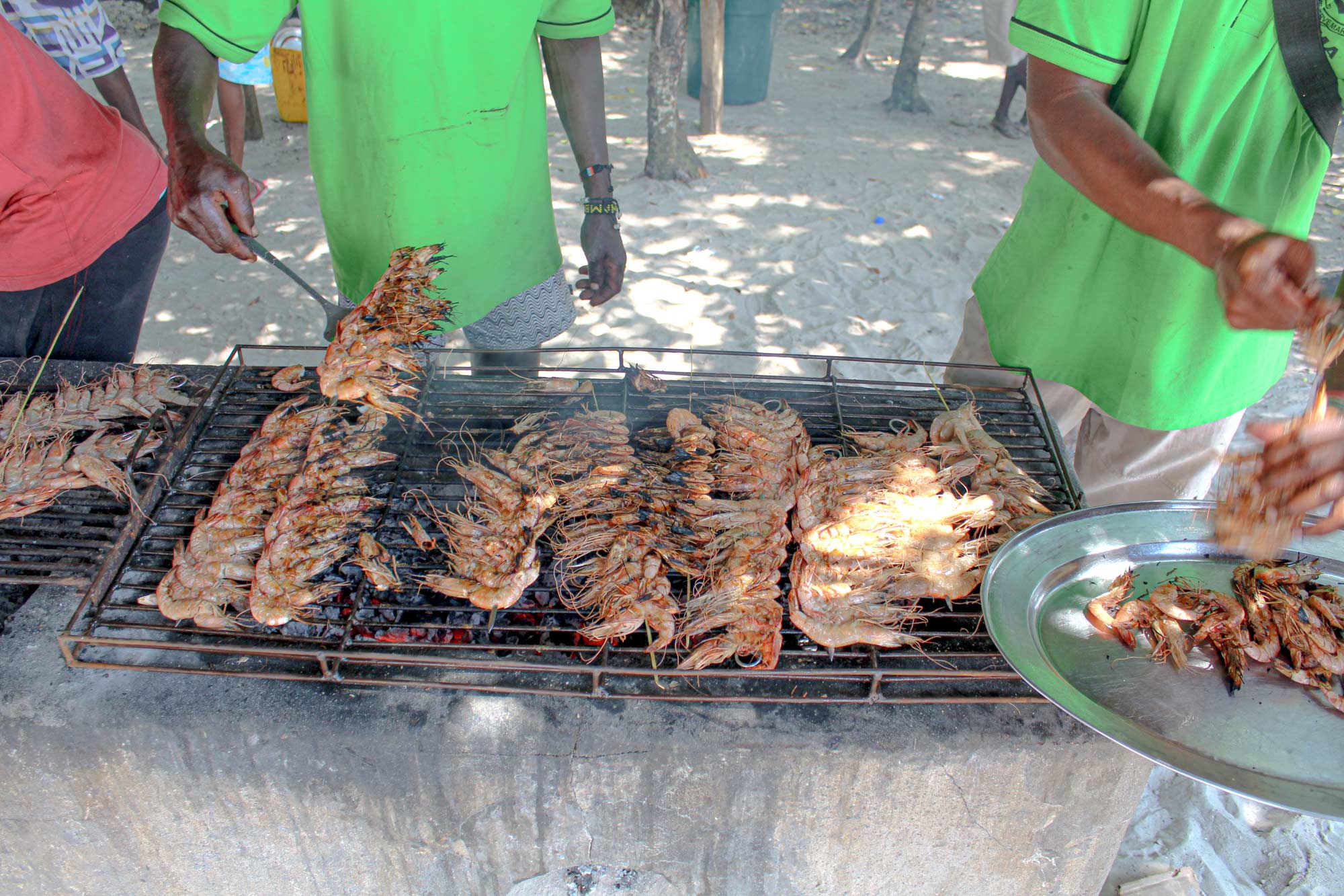 Villa-Collective---WATAMU_-TURTLES,-TIDES-AND-THE-SWAHILI-COAST-3