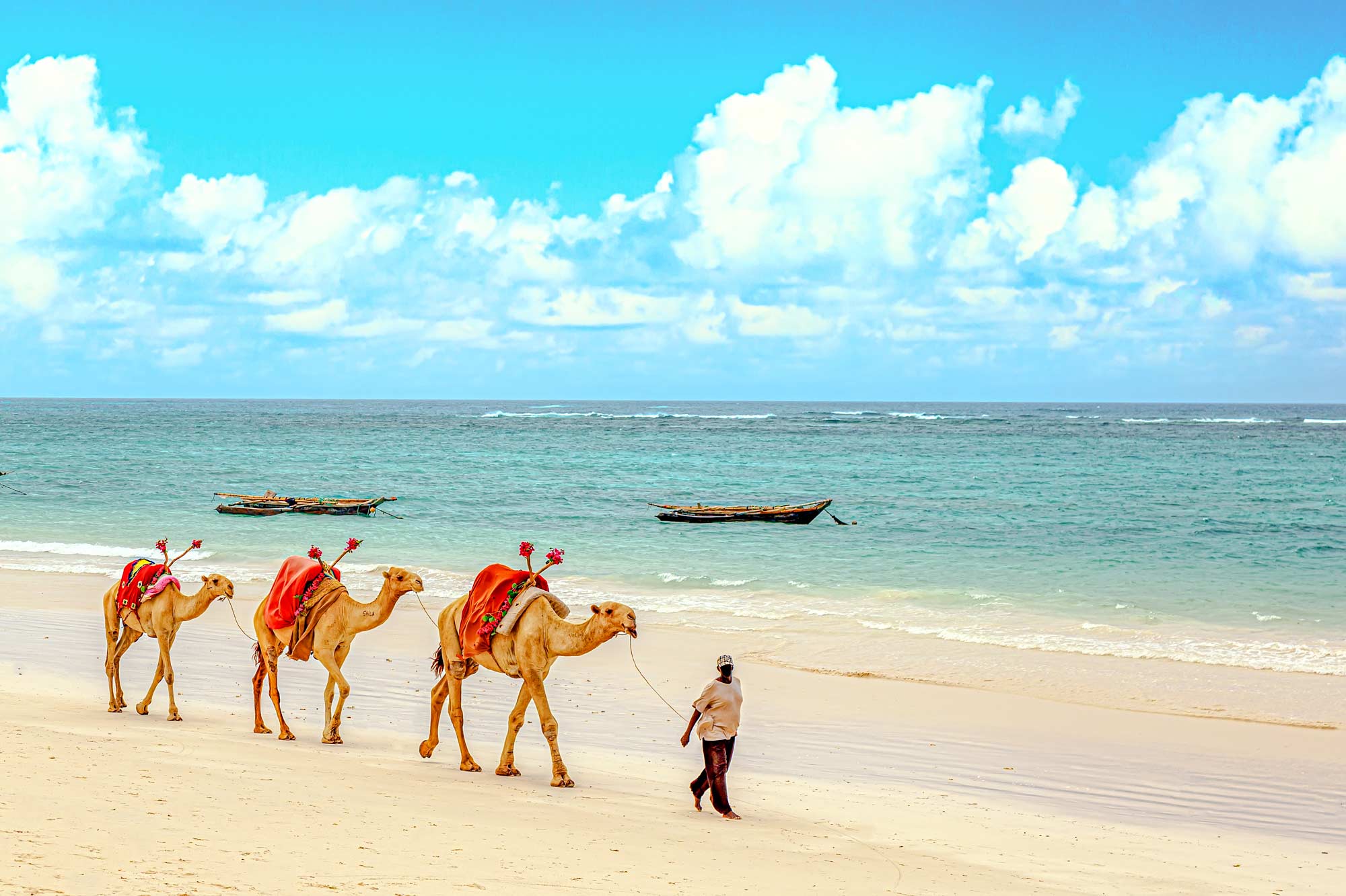 Villa-Collective---WATAMU_-TURTLES,-TIDES-AND-THE-SWAHILI-COAST-4