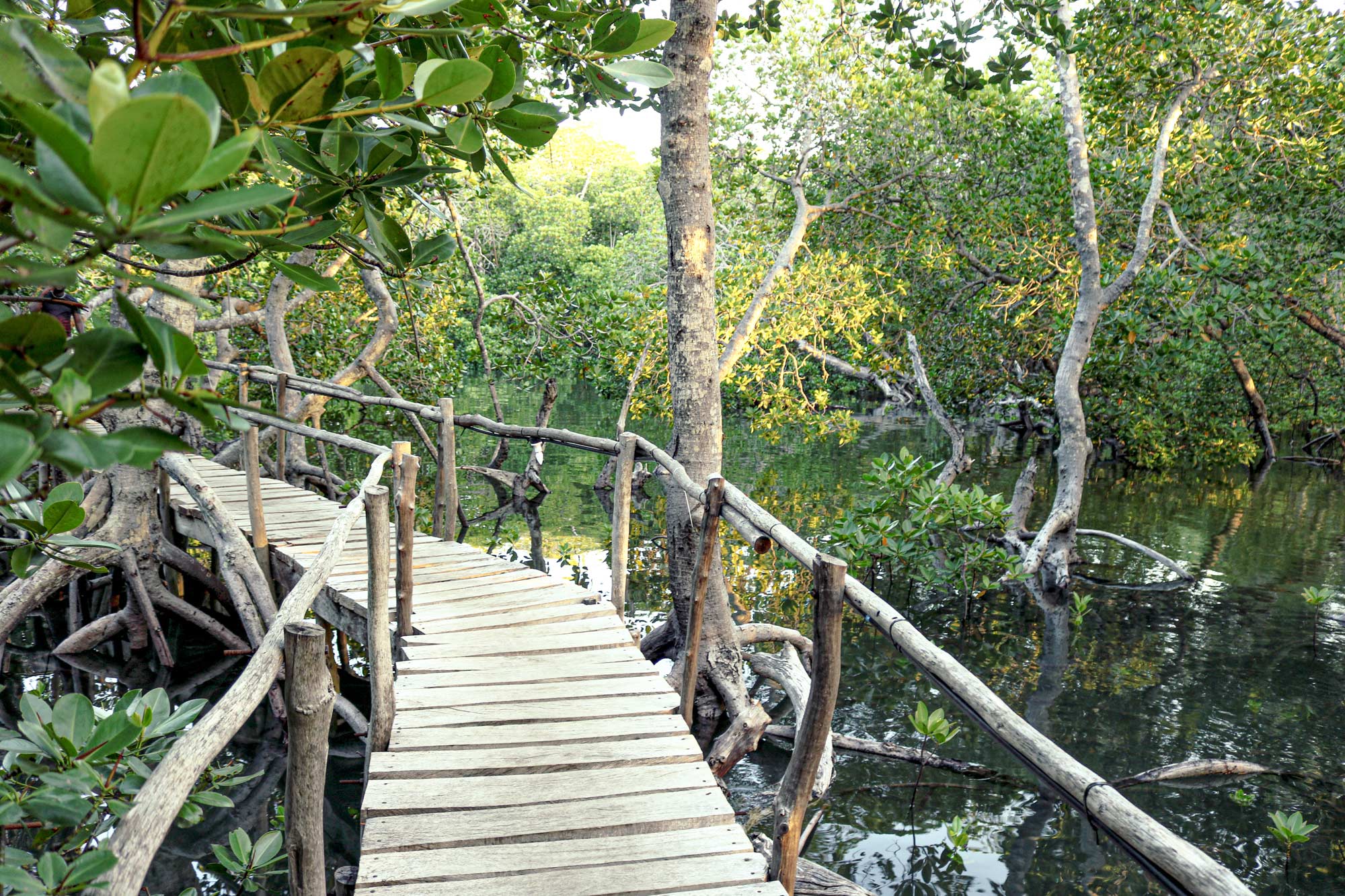 Villa-Collective---WATAMU_-TURTLES,-TIDES-AND-THE-SWAHILI-COAST-5