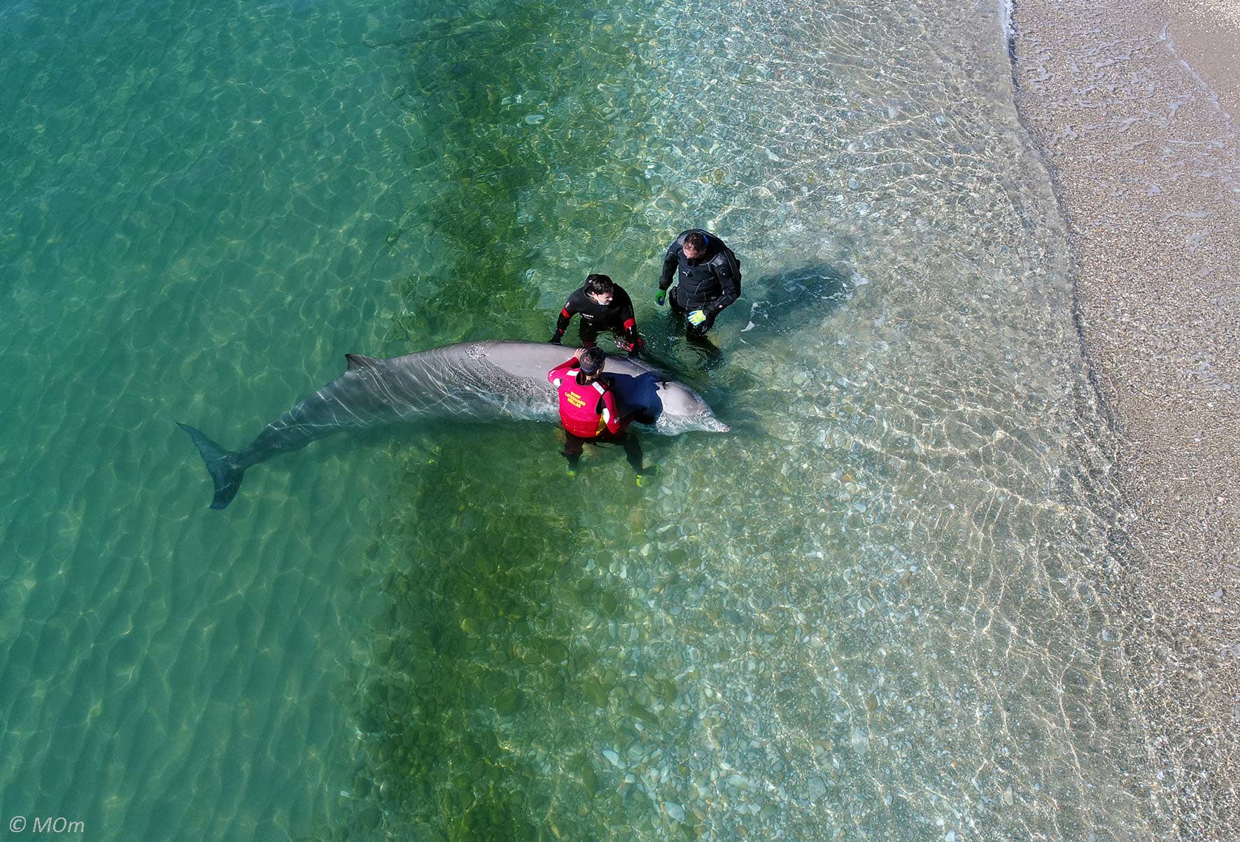 Villa Collective - Go Overboard - The Albania to Corfu Charity Swim 2