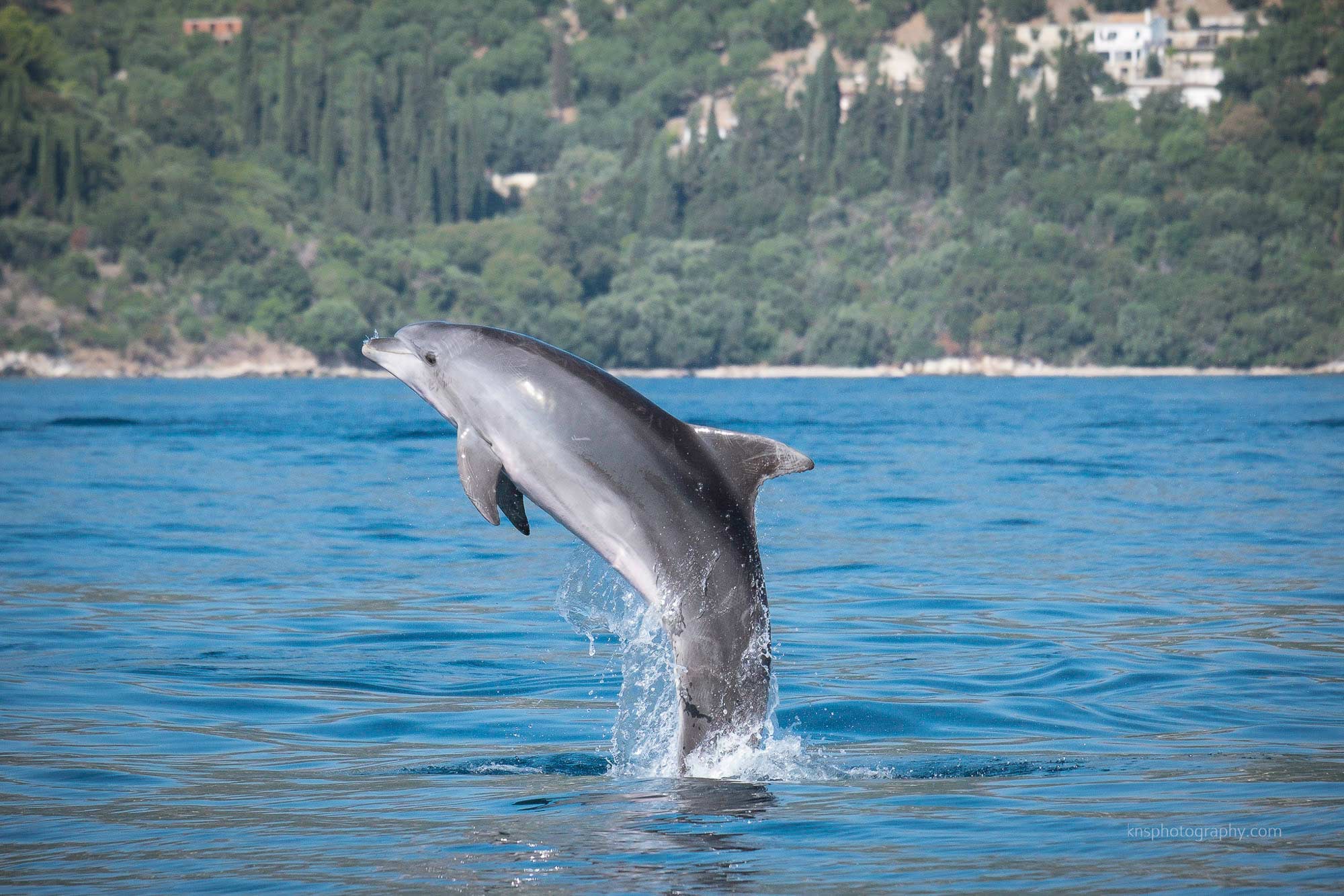 Villa Collective - Go Overboard - The Albania to Corfu Charity Swim 5