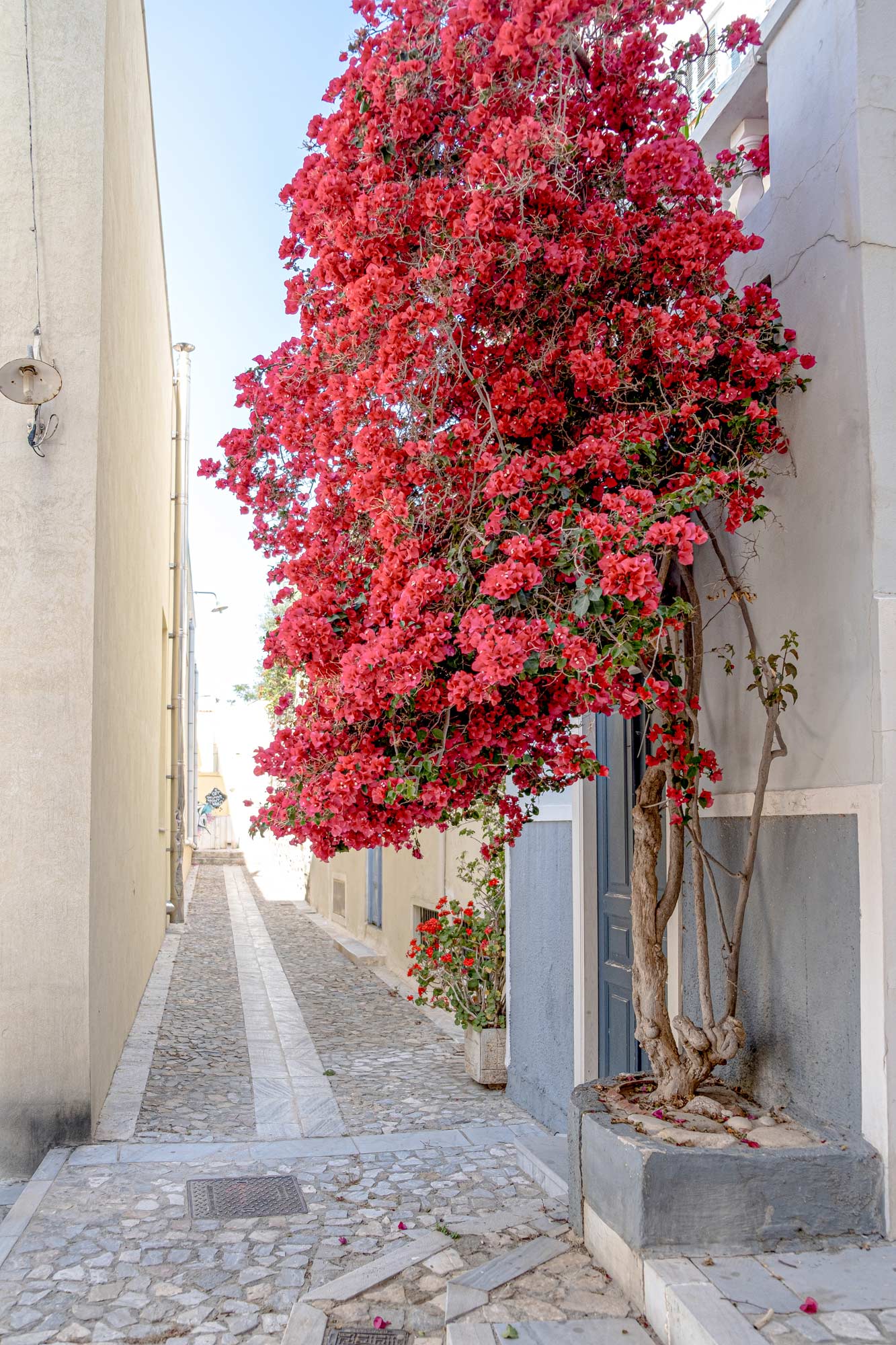 Villa-Collective---SYROS_-An-atmospheric,-neoclassical-gem-5